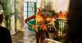 The Paddington Bear Experience